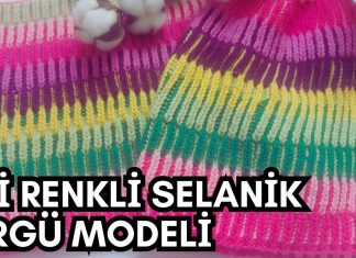 İki Renkli Selanik Nasıl Örülür?