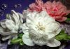 Kumaştan Çiçek Nasıl Yapılır? - Geri Dönüşüm Projeleri Kutu Kaplama - evde kumaştan çiçek yapımı kumaştan çiçek yapımı anlatımlı kumaştan gül yapımı romantik güller saten kumaştan gül yapımı