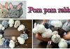 Ponpon Tavşan Nasıl Yapılır? - Okul Öncesi Etkinlikleri - ponpondan hayvan yapımı ponpondan oyuncak yapımı ponponla yapılan süsler tavşan ponponu nasıl yapılır