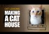 Kartondan Kedi Evi Yapımı - Hobi Dünyası - 