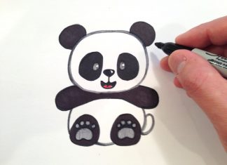 Panda Resmi Çizimi - Hobi Dünyası - 