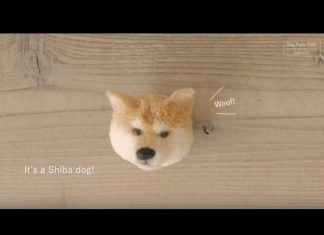 Ponpondan Köpek Yapımı - Örgü Modelleri - dıy kendin yap evde kendin yap projeleri ponpondan oyuncak yapımı ponpondan yapılan etkinlikler