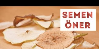Elma Cipsi Tarifi - Tatlı Tarifleri - elma cipsi nasıl yapılır fırında elma kurusu nasıl yapılır maranki elma cipsi tarifi youtube video