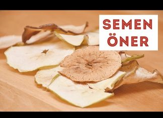 Elma Cipsi Tarifi - Tatlı Tarifleri - elma cipsi nasıl yapılır fırında elma kurusu nasıl yapılır maranki elma cipsi tarifi youtube video