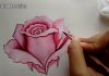 Gül Boyama Teknikleri - Hobi Dünyası - boyama videoları çiçek çizim modelleri gül resmi nasıl çizilir resim boyama