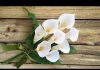 Kağıttan Çiçek Yapımı Anlatımlı - Hobi Dünyası - kağıttan çiçek şablonları kağıttan çiçek yapımı youtube krapon kağıdı ile çiçek yapımı krapon kağıdından neler yapılır