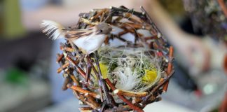 Kendin Yap Kuş Yuvası Yapımı - Dekorasyon Geri Dönüşüm Projeleri - çalıdan kuş yuvası yapımı el yapımı muhabbet kuşu yuvalığı kendin yap dekorasyon muhabbet kuşu yuvası nasıl yapılır