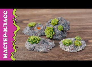 Polimer Kilden Succulent Yapımı - Dekorasyon Hobi Dünyası - kil hamurundan şekiller nasıl yapılır polimer kil teknikleri polimer kil yapımı polymer clay