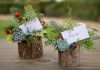 Çiçek Paketleme Nasıl Yapılır? - Dekorasyon Geri Dönüşüm Projeleri Hobi Dünyası - kütük suculent kütük teraryum kütükte çiçek kütükte kaktüs