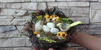 Doğal Kuş Yuvası Yapımı - Hobi Dünyası - dekorasyon fikirleri el yapımı muhabbet kuşu yuvalığı kendin yap fikirleri serçe yuvası yapımı