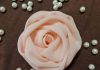 Anlatımlı Kumaştan Gül Yapımı - Dikiş Hobi Dünyası - evde kumaştan çiçek yapımı kumaştan gül yapımı romantik güller organze kumaştan çiçek yapımı şifon kumaştan çiçek yapımı