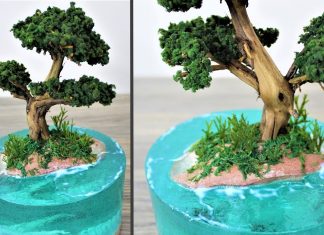 Bonsai Ağacı Nasıl Yapılır?