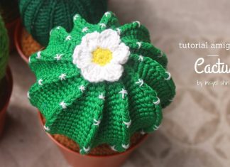 Amigurumi Kaktüs Tarif