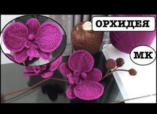 Örgü Orkide Yapımı