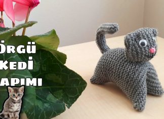Şişle Kolay Kedi Yapımı