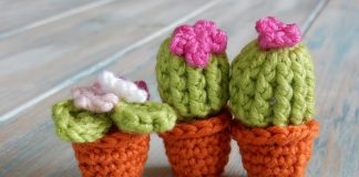 Amigurumi Mini Kaktüs Yapımı