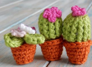 Amigurumi Mini Kaktüs Yapımı