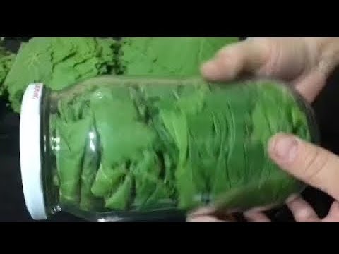 Susuz Salamura Yaprak Nasıl Basılır?