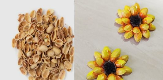 Fıstık Kabuklarından Ay Çiçeği Nasıl Yapılır? 1