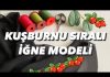 İğne Oyası Kuşburnu Modeli Yapılışı