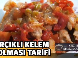 Muş Dolması Tarifi