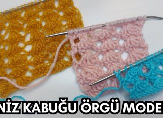 İki Şişle Deniz Kabuğu Modeli Yapılışı