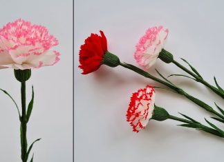 Kağıttan Karanfil Yapımı